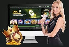kb bet vip